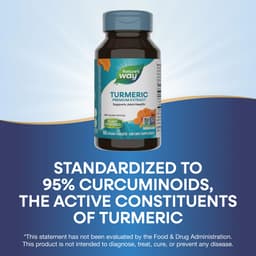 Nature'S Way - Turmeric Premium Extract - 60 Vegan Tabs