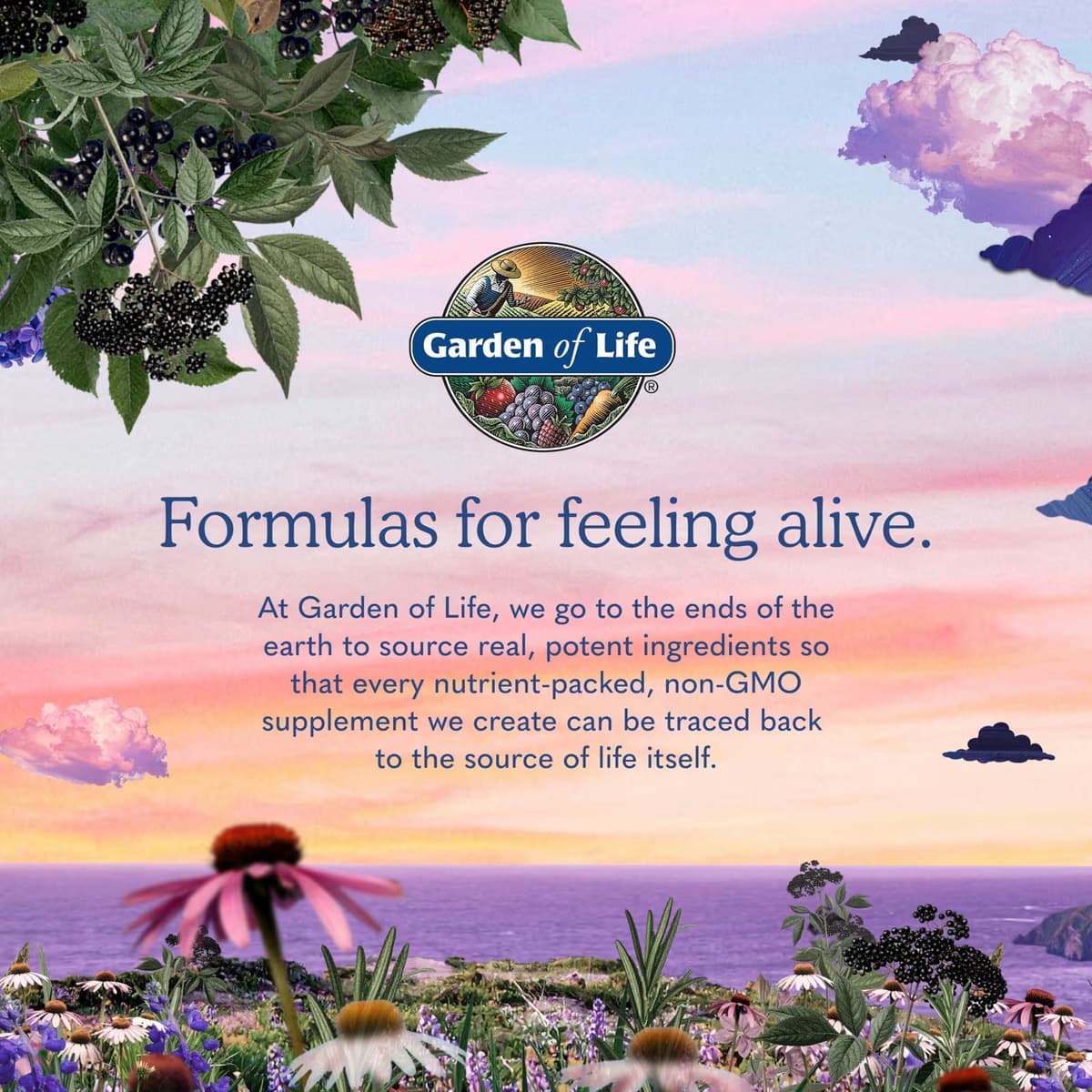 Garden Of Life - Vitamin Code Women - 120 Vcaps