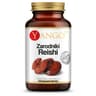 Yango - Reishi spores - 100 Caps