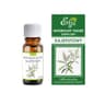 ETJA Olejek eteryczny naturalny - Kajeputowy 10ml