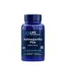 Life Extension - Ashwagandha Plus Calm & Focus - 60 Vcaps