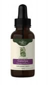 Magiczny Ogród - Catalpa Extract