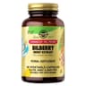 Solgar - Bilberry Berry Extract - 60 Vegetable Caps