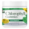 Nature's Answer - Chlorophyll Gummies - 60 Pectin Gummies