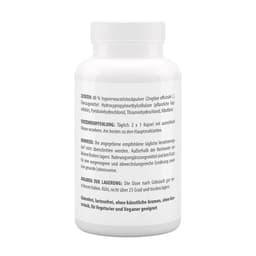 Vitaworld - Ginger - 120 Kapseln (120 Caps)