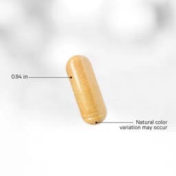 Codeage Liposomal Nadh+ - 60 V-kapseli - 60 Kasvipohjaista kapselia