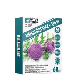 Natur Tanya - Milk Thistle Max + Choline - 60 Tabs