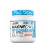 Amix - Magnechel Magnesium Drink - 420g