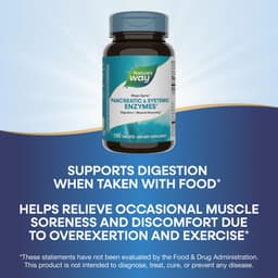 Nature's Way - Mega-Zyme Pancreatic & Systemic Enzymes