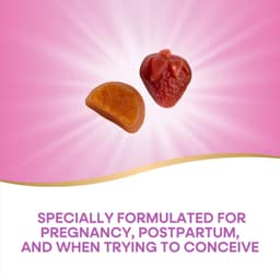 Daily Support Prenatal Gummy Multivitamin - 90 Gummies