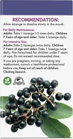 Nature's Way - Elderberry Lozenges - 30 Loz
