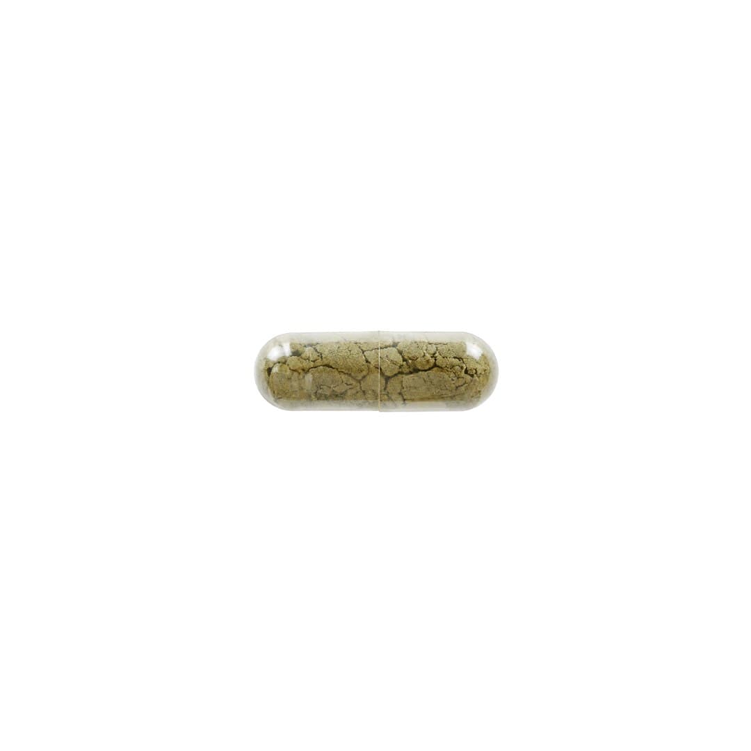 Dr. Jacob's - Iodine + Selenium Probio - 90 Caps