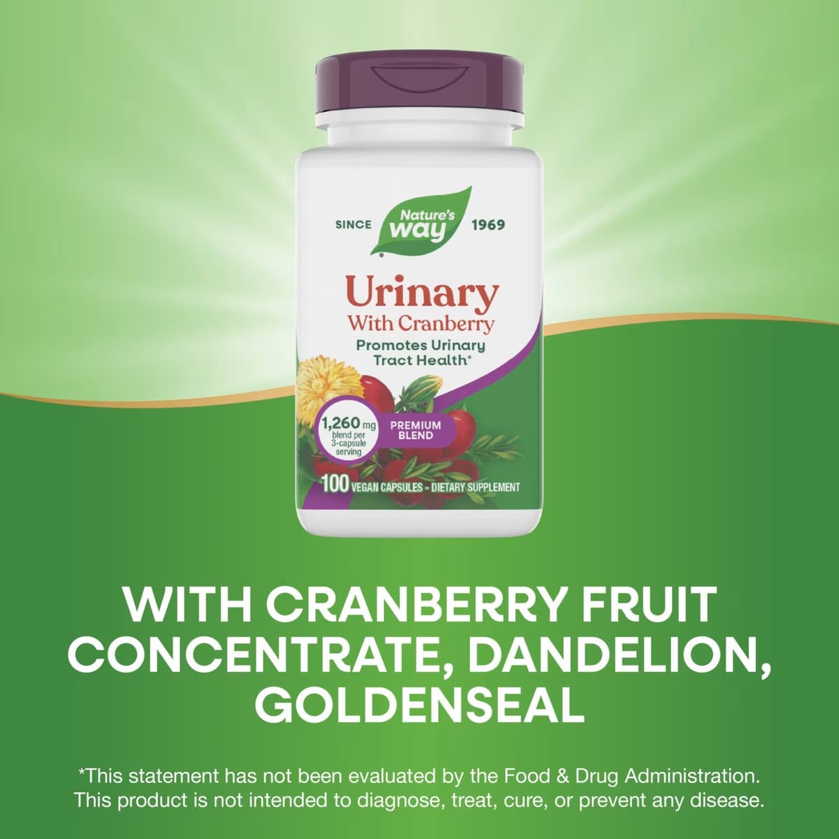 Nature'S Way - Urinary Tract Health - 100 Caps