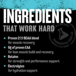 Universal Nutrition - Juiced Aminos - Enhanced BCAA - 315g