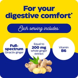 Enzymedica - Ginger & Vitamin B6 Gummies - Lemon Ginger - 60 Gummies