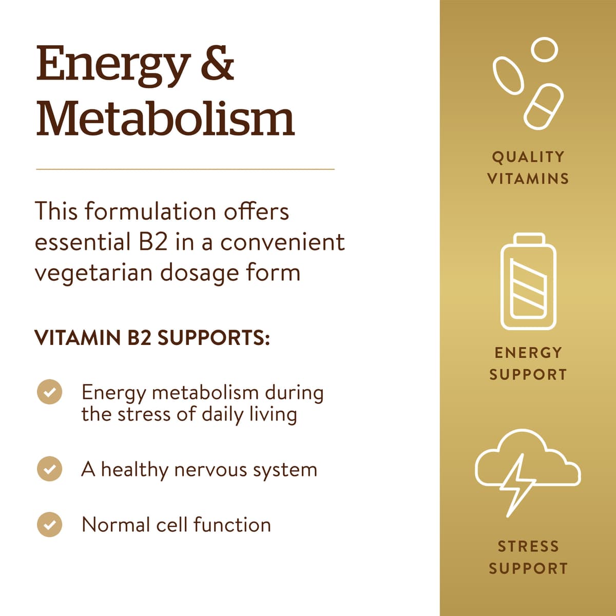 Solgar Vitamin B2 (Ribolfavin) 100mg (100 Caps)