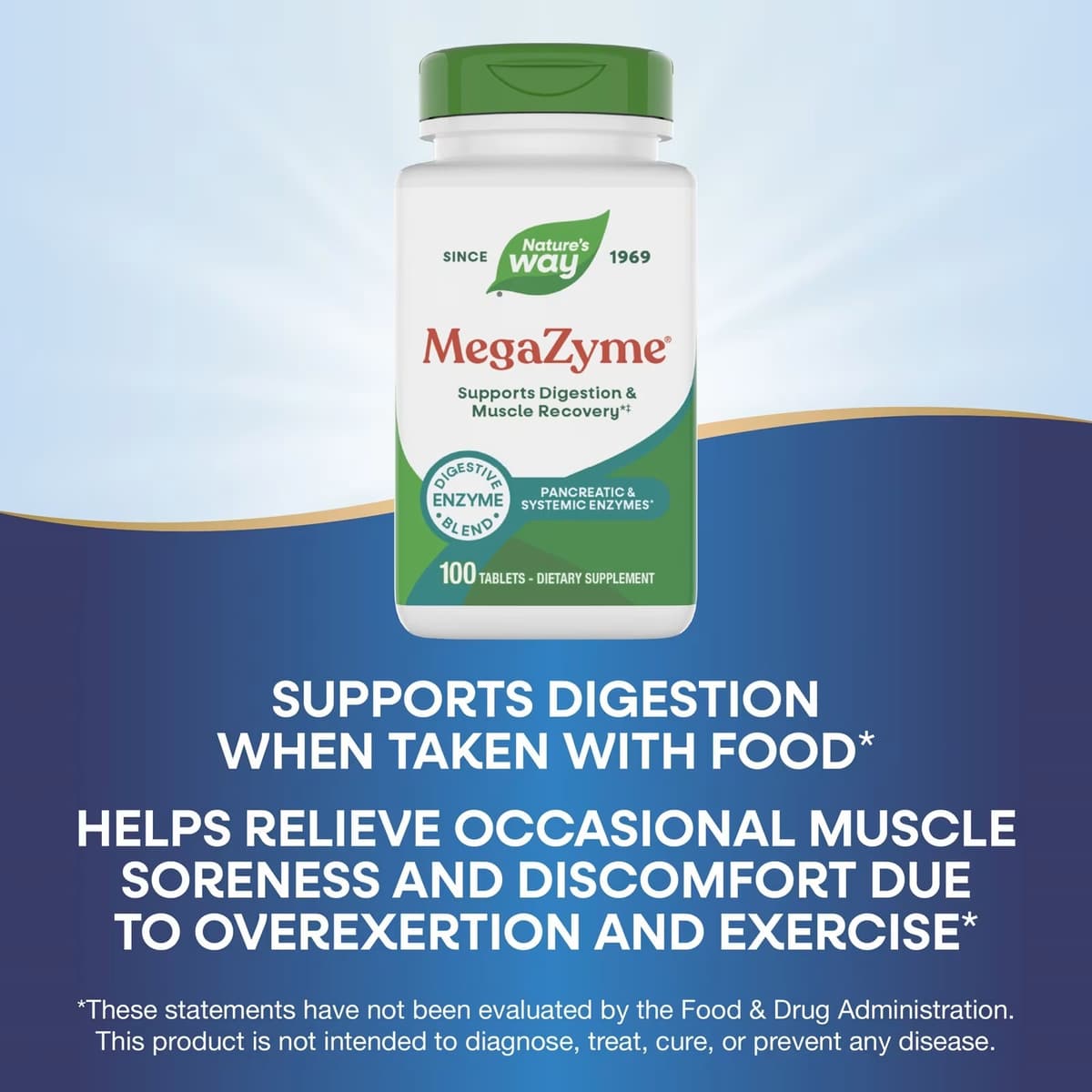 Nature's Way - Mega-Zyme Pancreatic & Systemic Enzymes