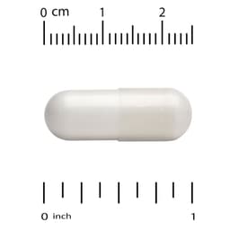 Life Extension - Neuro-Mag Magnesium L-Threonate - 90 Vcaps