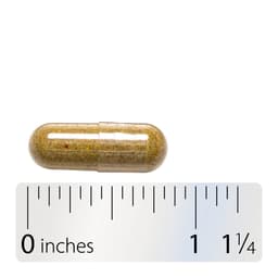 Nature'S Way - Echinacea Goldenseal Premium Blend - 100 Vcaps