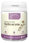 NANGA - Silymarin (Milk Thistle) - 100 Caps