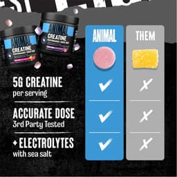 Universal Nutrition - Creatine Performance Gummies - 4 Tabs