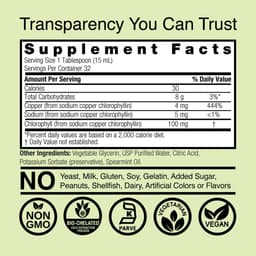 Nature's Answer - Chlorophyll Liquid - 480ml