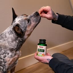 Now Foods - Pets, Pet Allergy - 75 Tabs