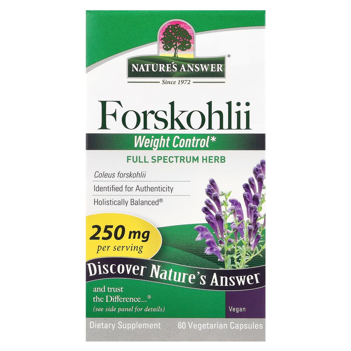 Nature's Answer - Forskohlii Painonhallinta - 60 Vcaps