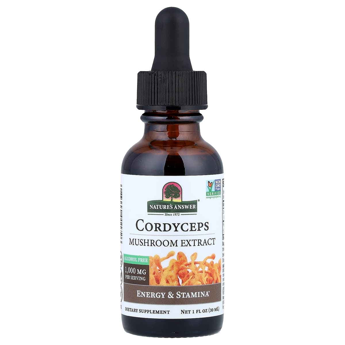 Nature'S Answer - Cordyceps-sienetinktuote - 1 fl oz