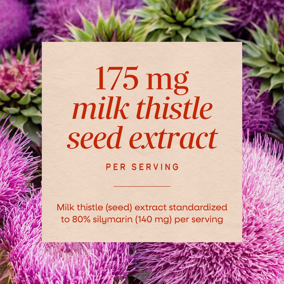 Nature'S Way - Milk Thistle - 60 Caps