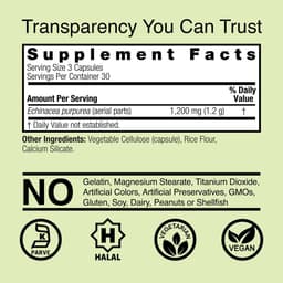 Nature's Answer - Echinacea Herb - 90 Vcaps