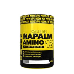 FA - Amino 13 - 450g