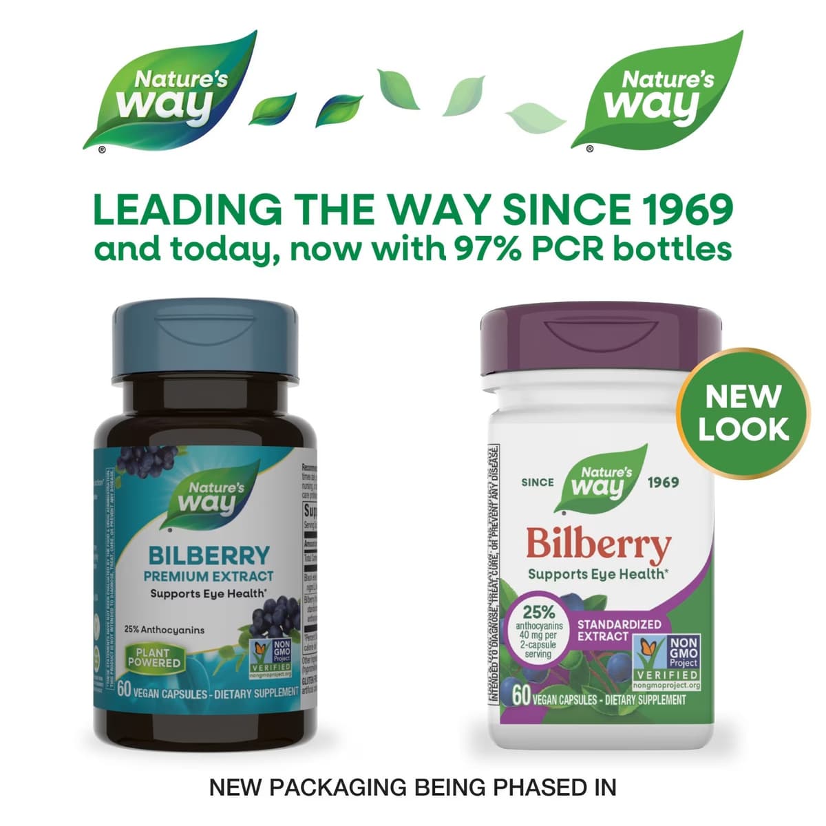 Nature'S Way - Bilberry Premium Extract - 60 Caps