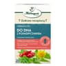 Herbapol Kraków - Dna With Goutweed Tea - 20 Sachets