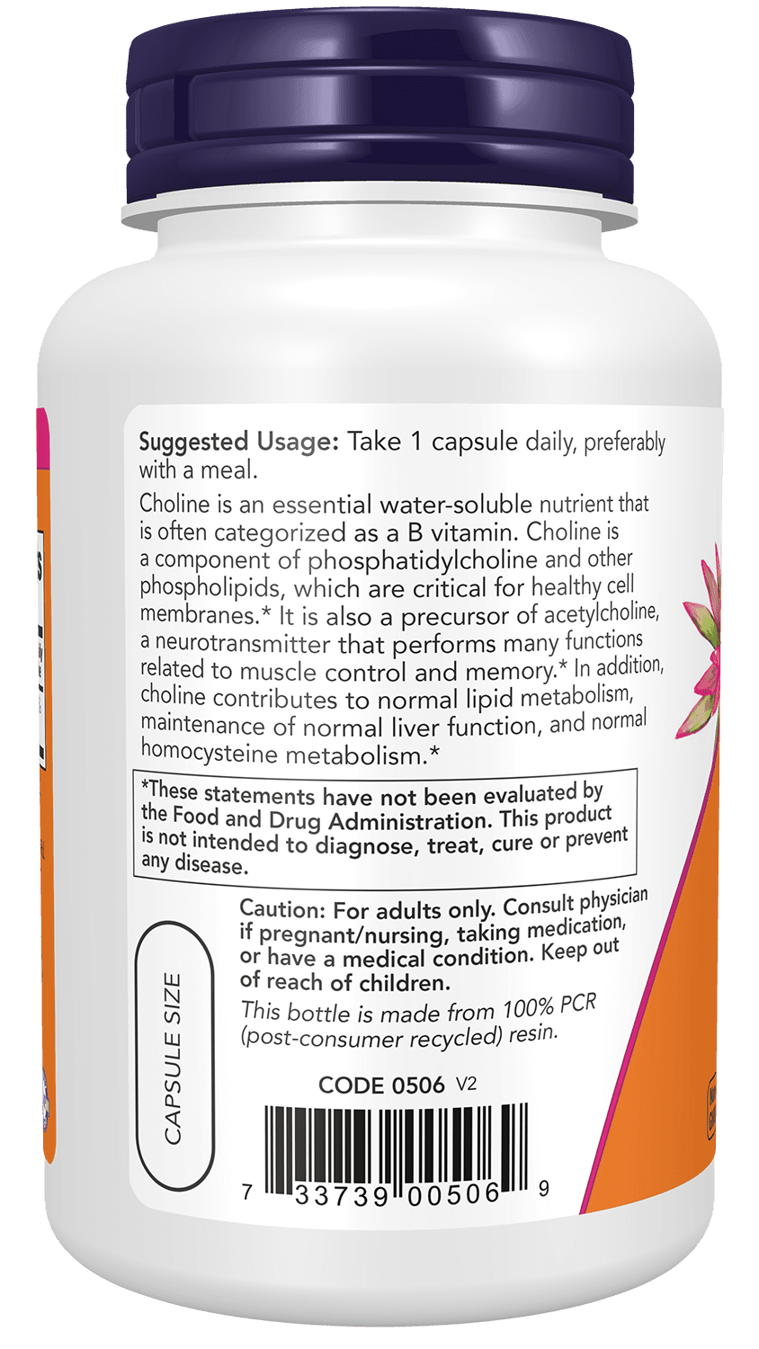 NOW Foods - Choline - 100 Vcaps