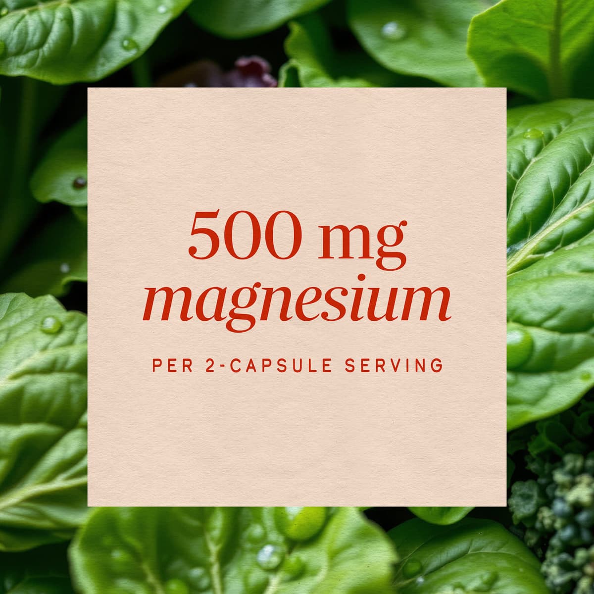 Nature'S Way - Magnesium Complex - 100 Caps