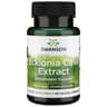 Swanson - Ecklonia Cava Extract - 30 Vcaps