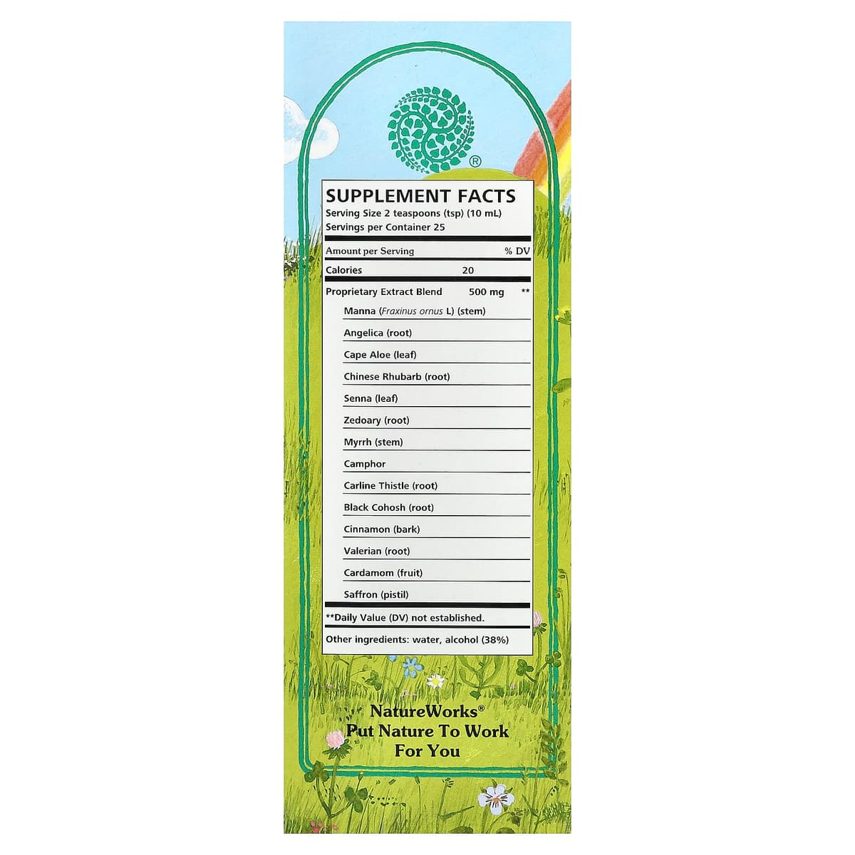 Natureworks - Swedish Bitters - 100ml