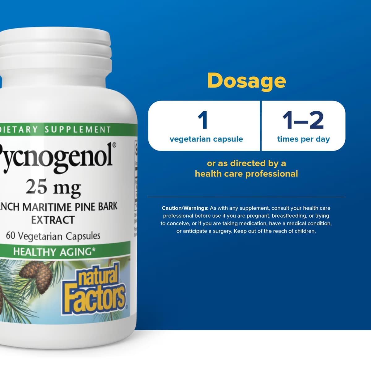 Natural Factors - Pycnogenol French Maritime Pine Bark Extract