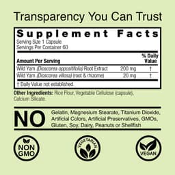 Nature's Answer - Wild Yam - 60 Vegetarian Capsules