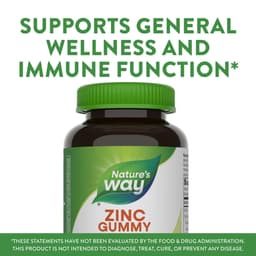 Nature'S Way - Zinc Gummies (Mixed Berry - 120 Gummies