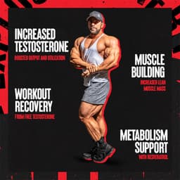 Universal Nutrition - Test - 21 Packs