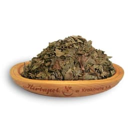 Herbapol - Walnut Leaf
