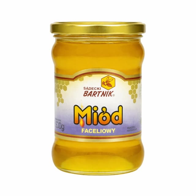 Bartnik Sądecki - Buckwheat Honey - 500g – Bartnik Sądecki