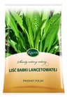 Kawon - Lanceleaf Plantain Leaf - 50g
