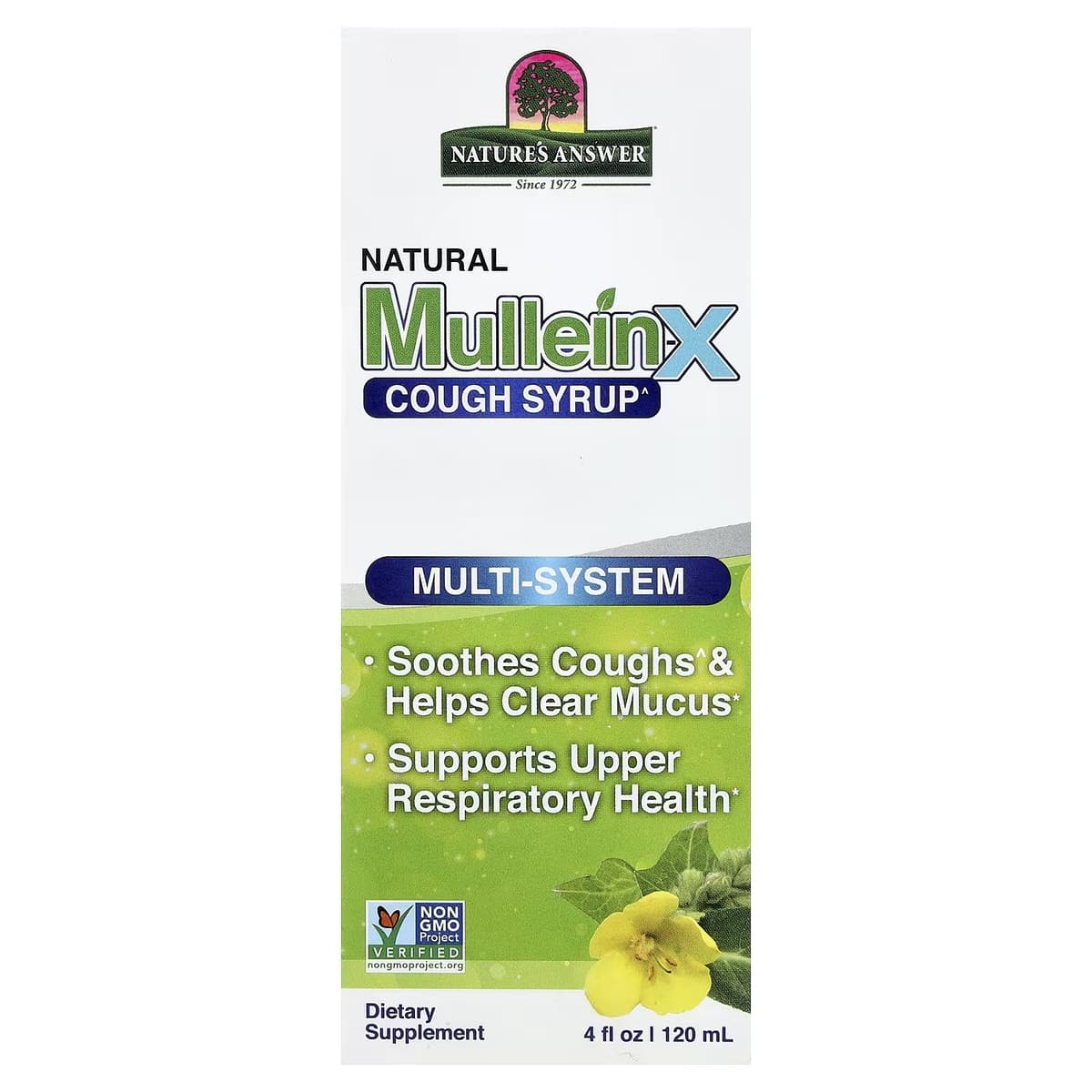 Nature's Answer - Mullein X Cough Syrup - 4 Fl oz | 120ml