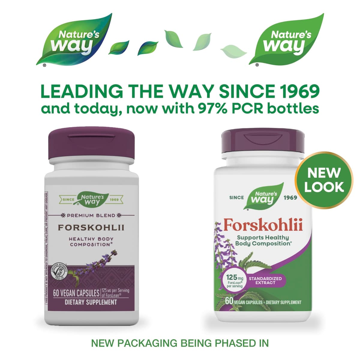 Nature'S Way - Forskohlii - 60 Caps