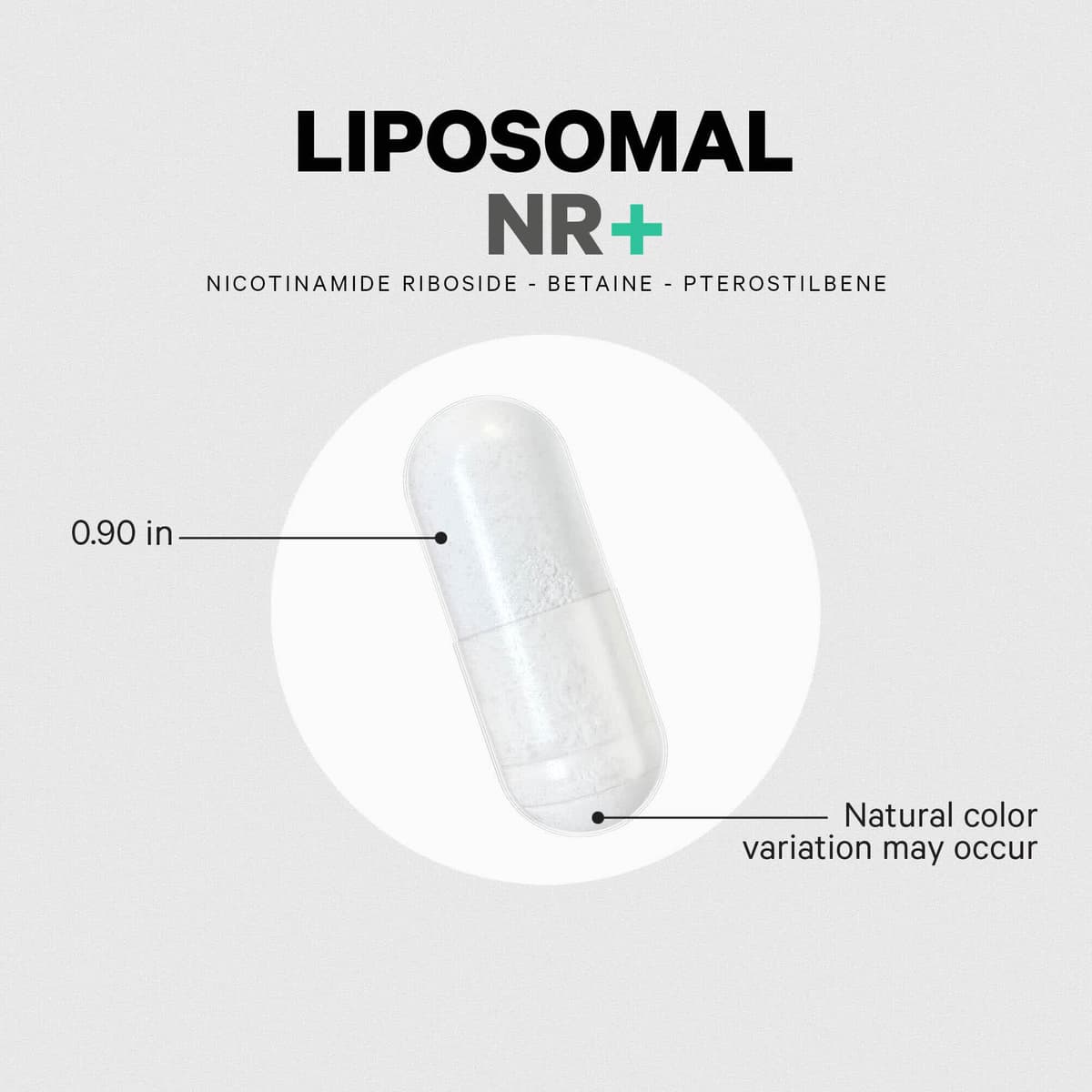 Codeage Liposomaalinen Nikotinamidi Ribosidi - 60 Vcaps - 60 Kasvipohjaista Kapselia
