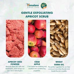 Himalaya Herbals - Gentle Exfoliating Apricot Scrub - 75ml