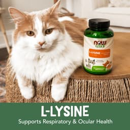 NOW Foods - L-Lysine For Cats - 226.8g